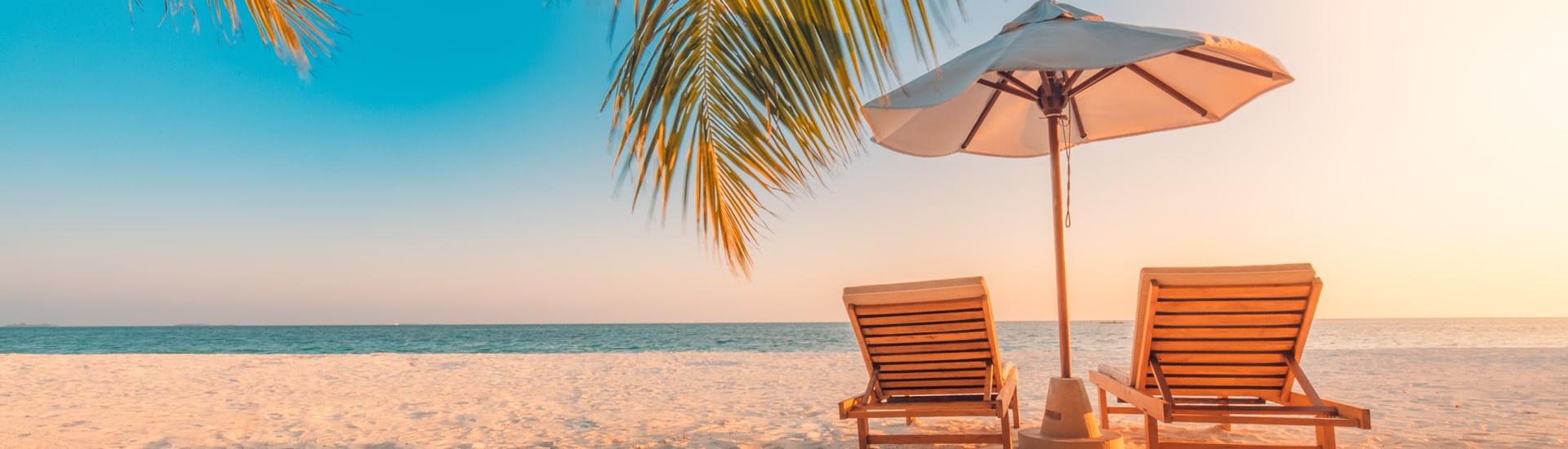 DMCBAZAAR B2B TRAVEL AGENT